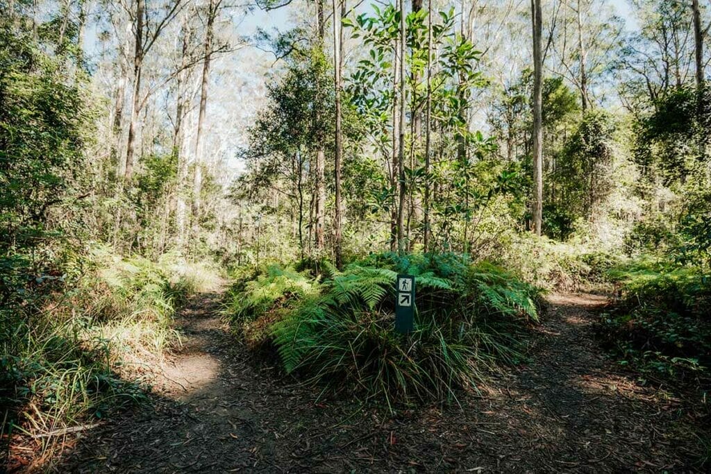 somerset-trail-mount-mee