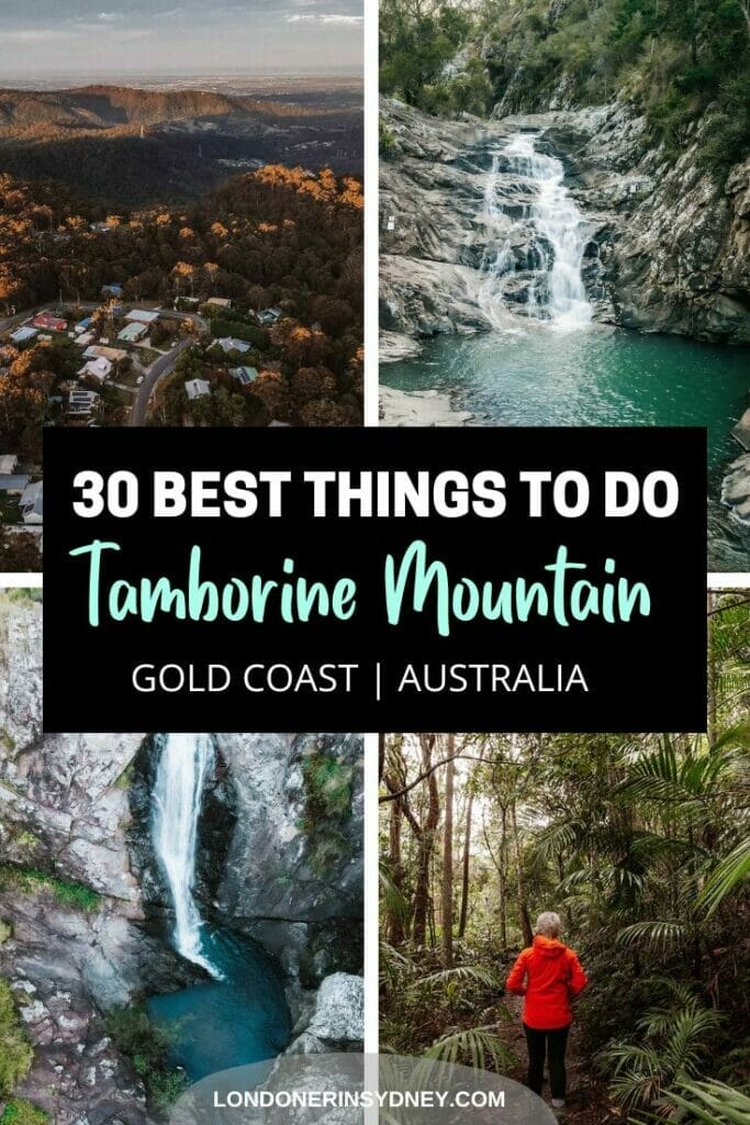 best-things-to-do-in-mount-tamborine