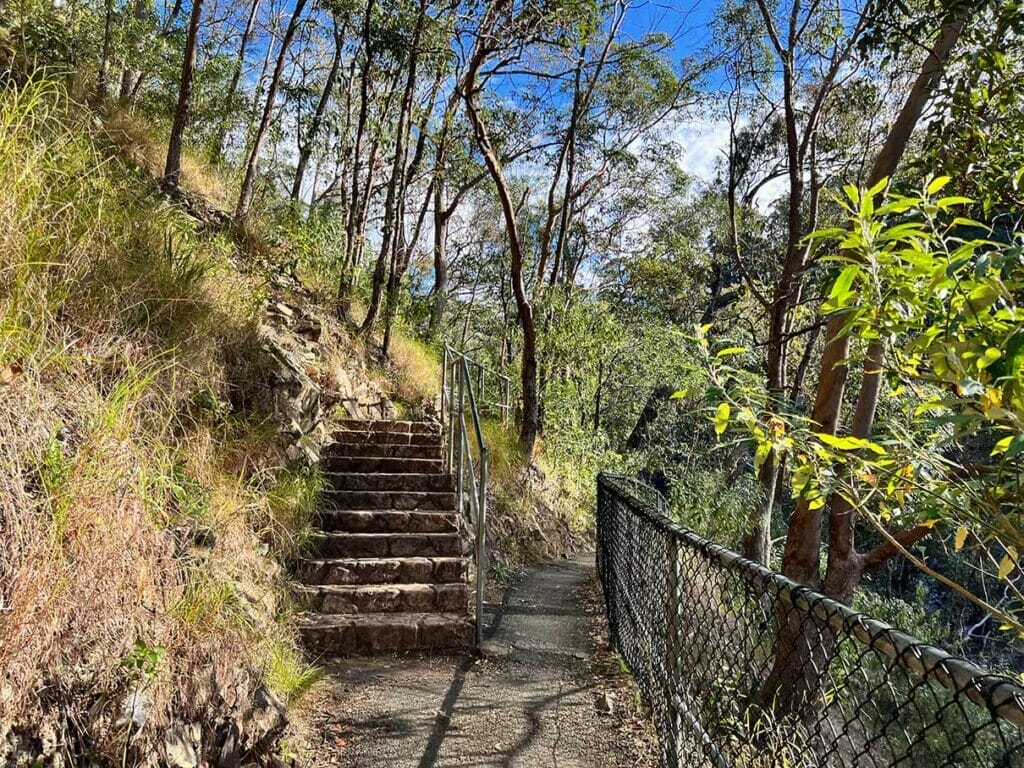 steps-in-tamborine-national-park