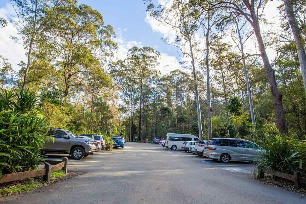 cedar-creek-falls-tamborine-mountain