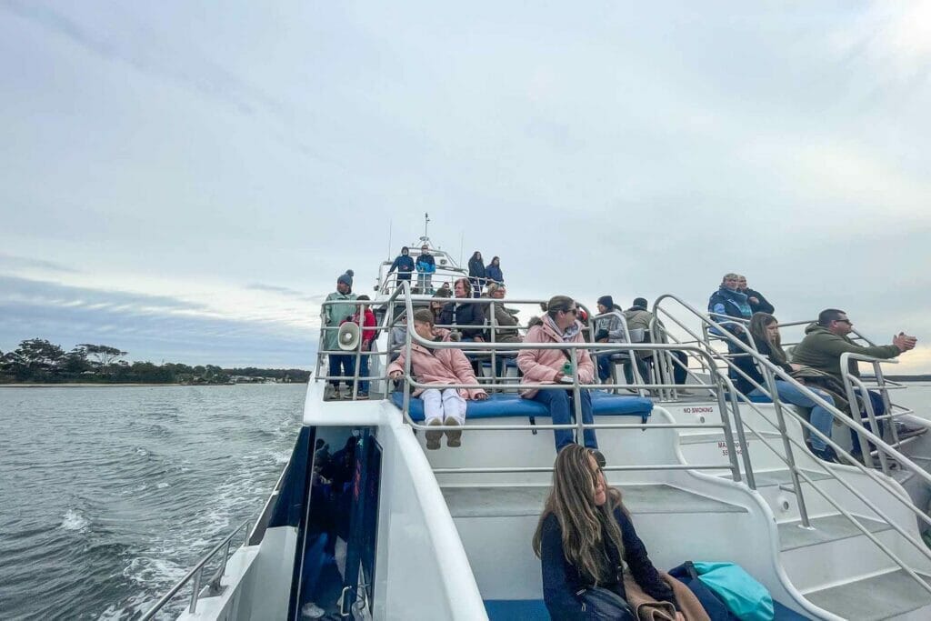 whale-watching-in-jervis-bay - Londoner In Sydney whale-watching-in-jervis-bay