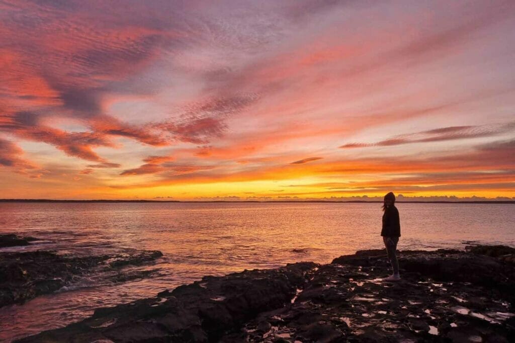 whale-watching-in-jervis-bay - Londoner In Sydney whale-watching-in-jervis-bay-sunset