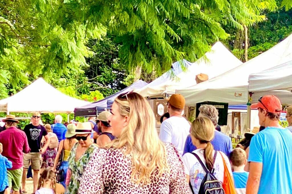 Tamborine-Mountain-State-School-Markets