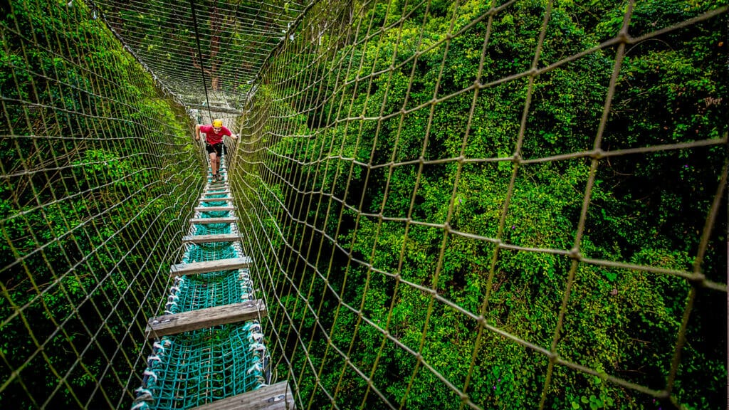 thuderbird-park-mount-tamborine