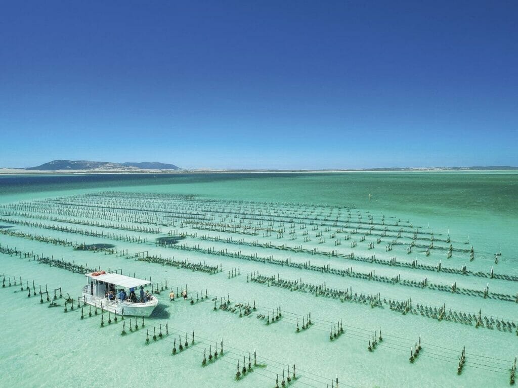 coffin-bay-oyster-farm