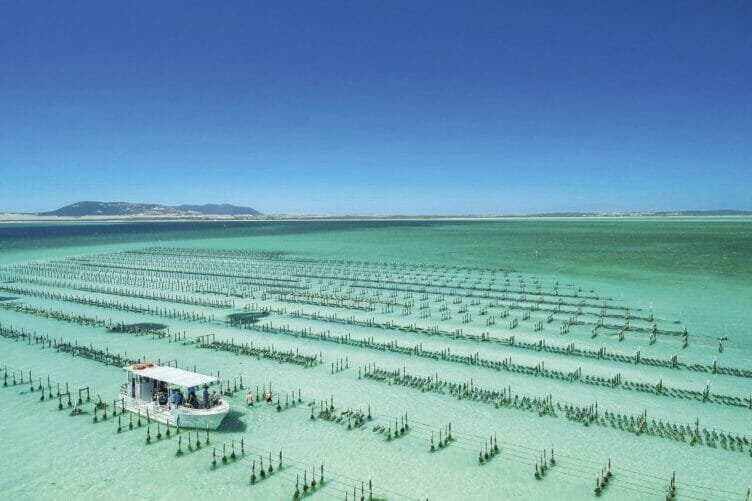 coffin-bay-oyster-farm