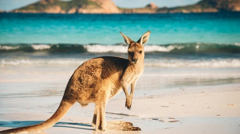 scenic tours south australia