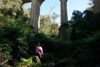 hiking-in-sydney