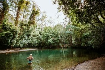 never-never-creek-the-promised-land-things-to-do-in-bellingen
