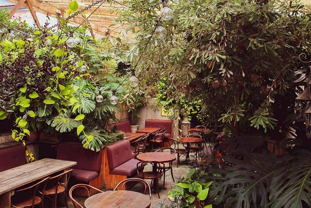 oxford-tavern-best-sunday-roast-in-sydney