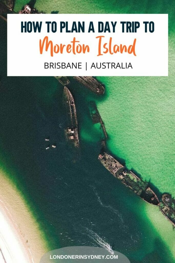 day-trip-to-moreton-island