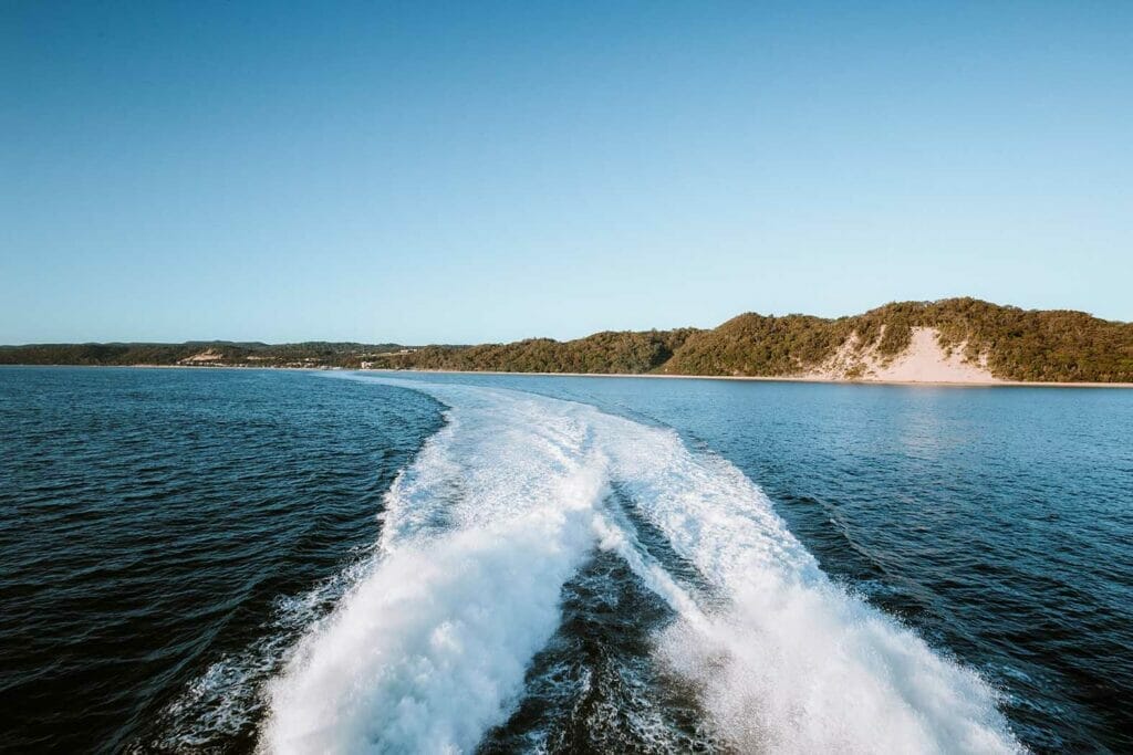 day-trip-to-moreton-island-wild-dolphin-feeding