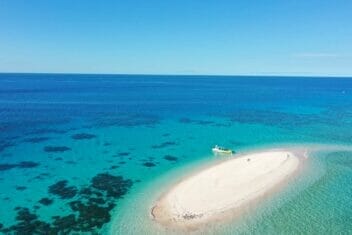 ocean-safari-cape-tribulation-snorkelling-review