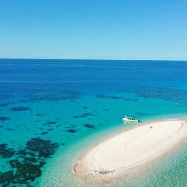 ocean-safari-cape-tribulation-snorkelling-review