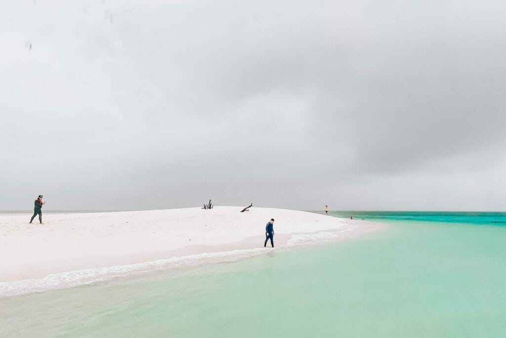 Mackay-Cay-cape-tribulation-snorkelling