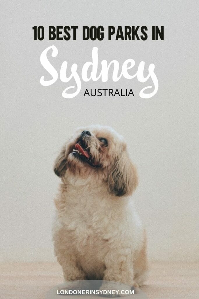 best-dog-parks-in-sydney