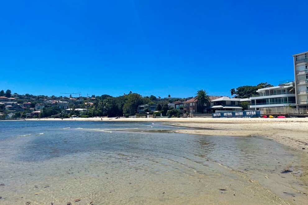 Rose-Bay-dog-beach-in-sydney