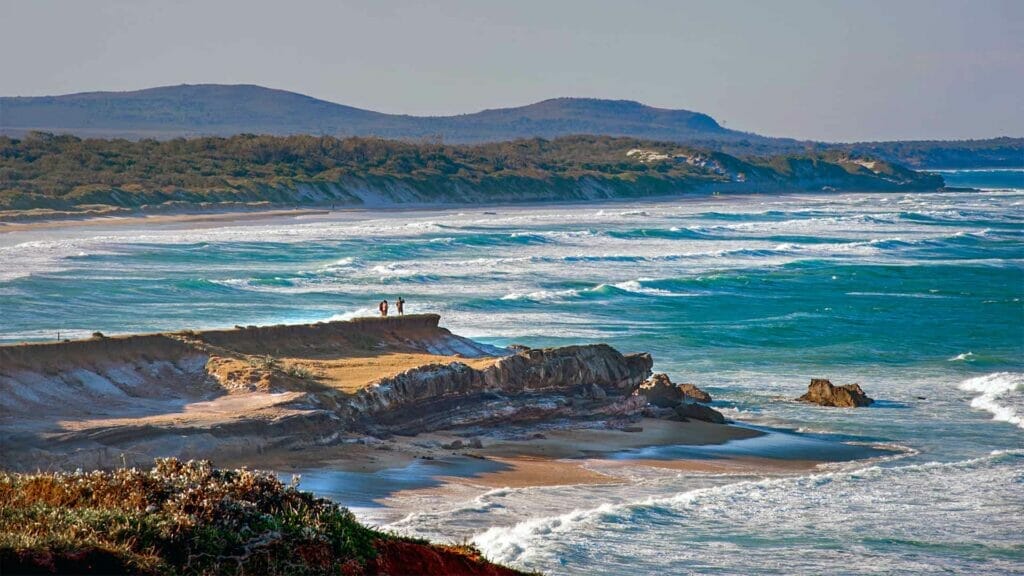 day trips yamba