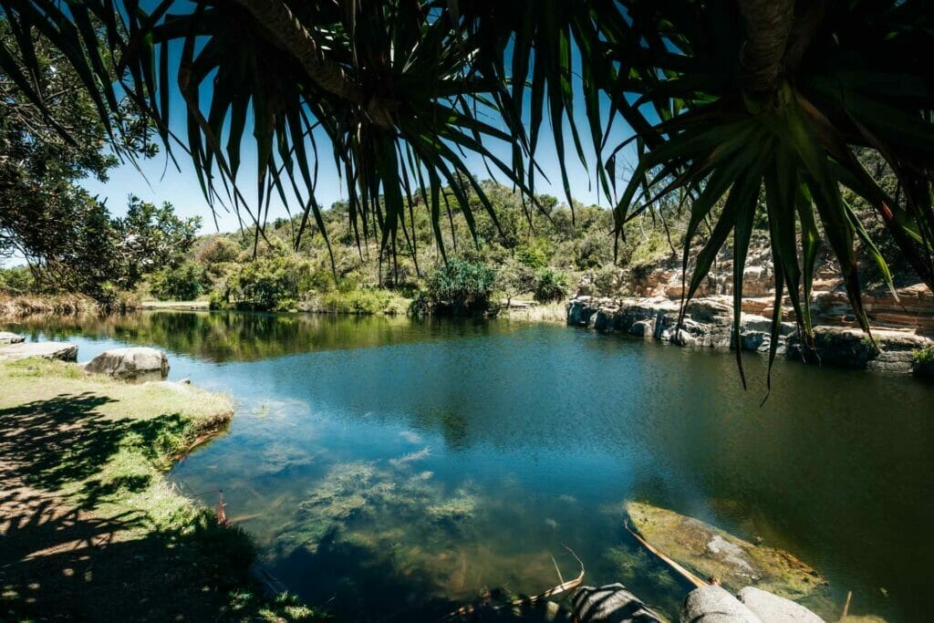 angourie-blue-pool-yamba - Londoner In Sydney angourie-blue-pool-yamba