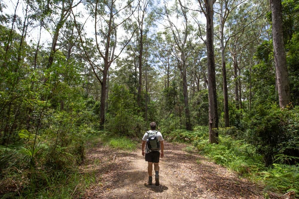 Kureelpa-falls-mapleton-national-park-drone