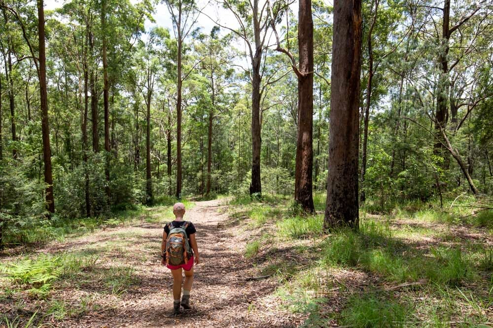 Kureelpa-falls-mapleton-national-park-day-use-area
