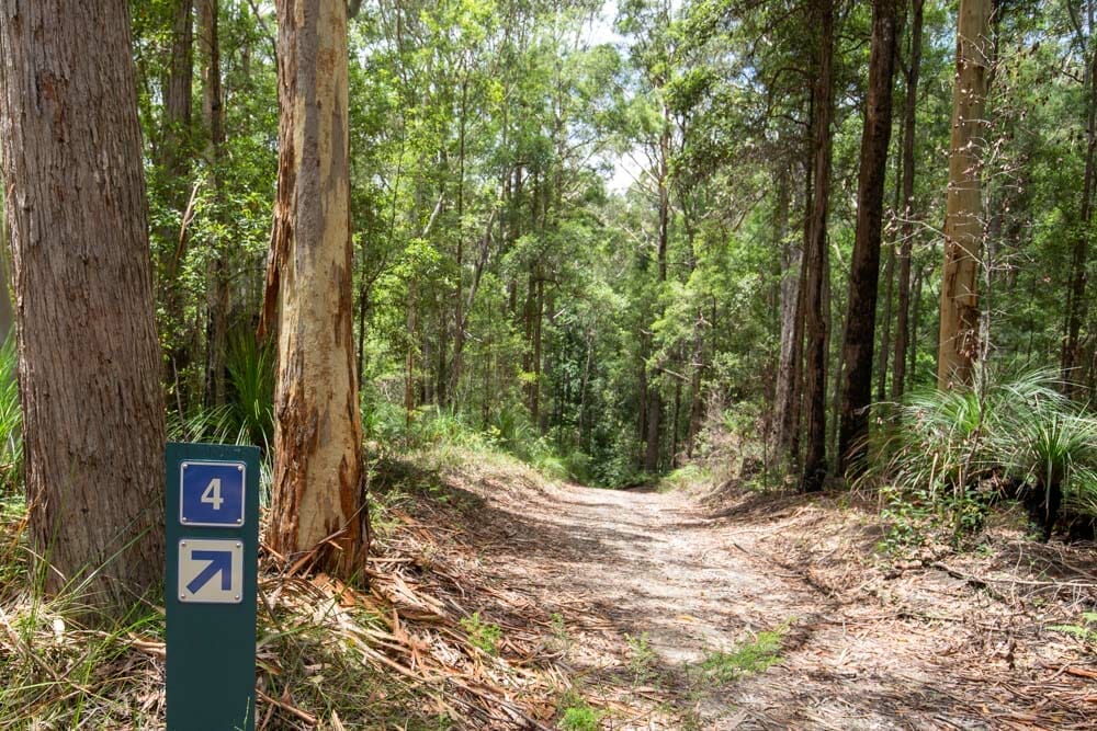 Kureelpa-falls-mapleton-national-park-day-use-area