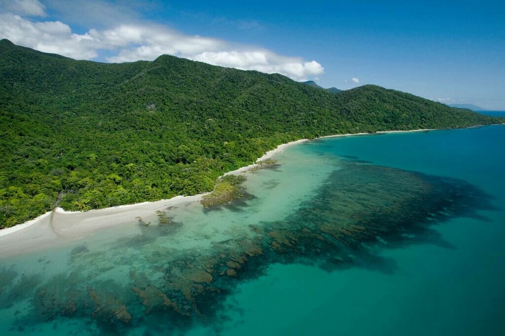 things-to-do-in-Cape-Tribulation - Londoner In Sydney things-to-do-in-Cape-Tribulation
