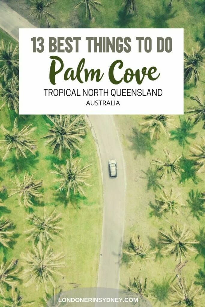 things-to-do-in-palm-cove - Londoner In Sydney things-to-do-in-palm-cove