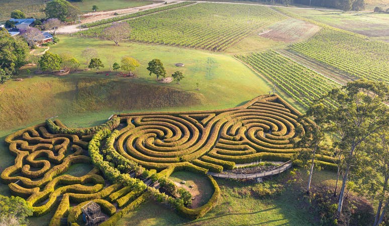 Bago-Winery-and-hedge-maze