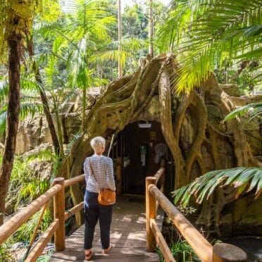 glow-worms-cave-tamborine-mountain