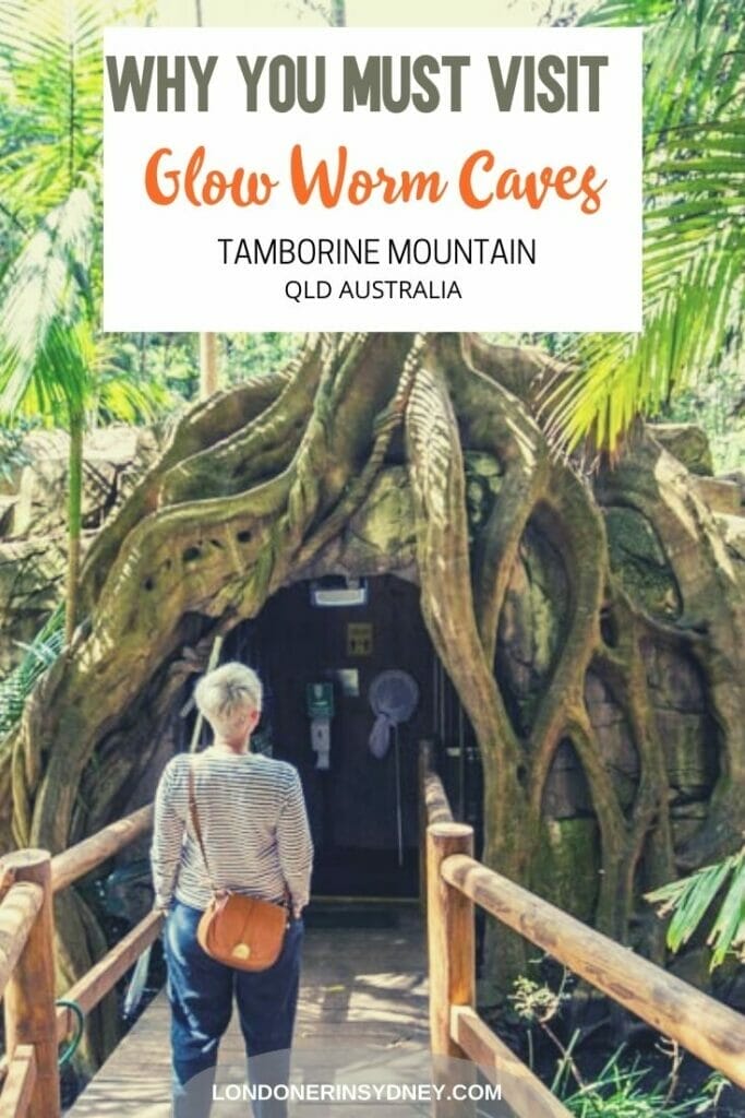 glow-worms-tamborine - Londoner In Sydney