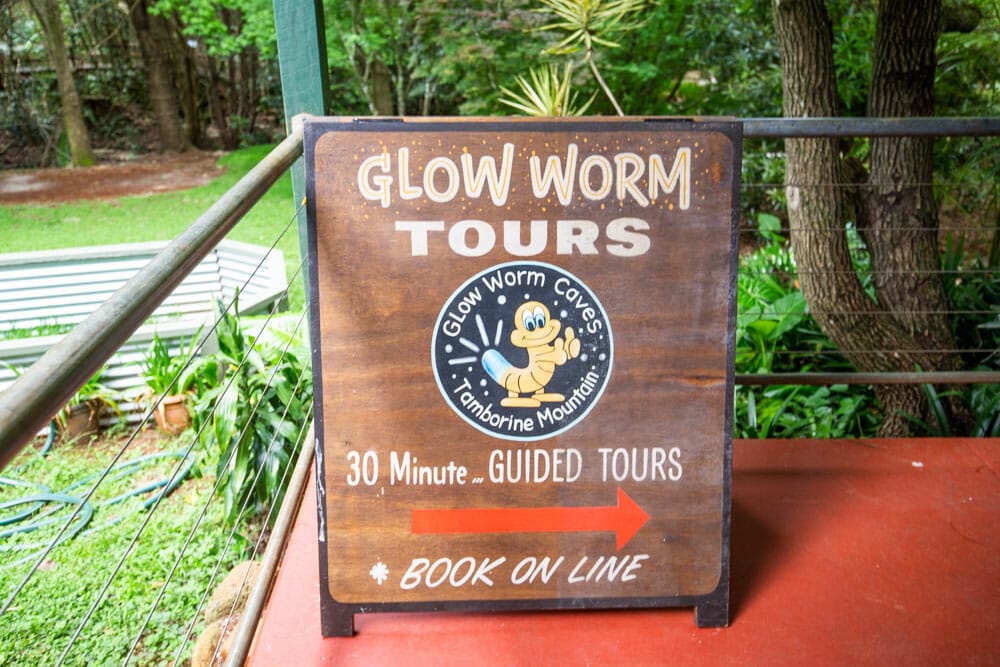glow-worm-caves-tamborine-mountain - Londoner In Sydney glow-worm-caves-tamborine-mountain