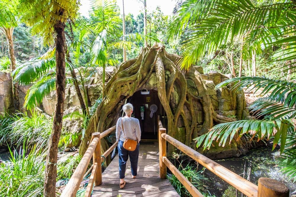 glow-worm-caves-mount-tamborine