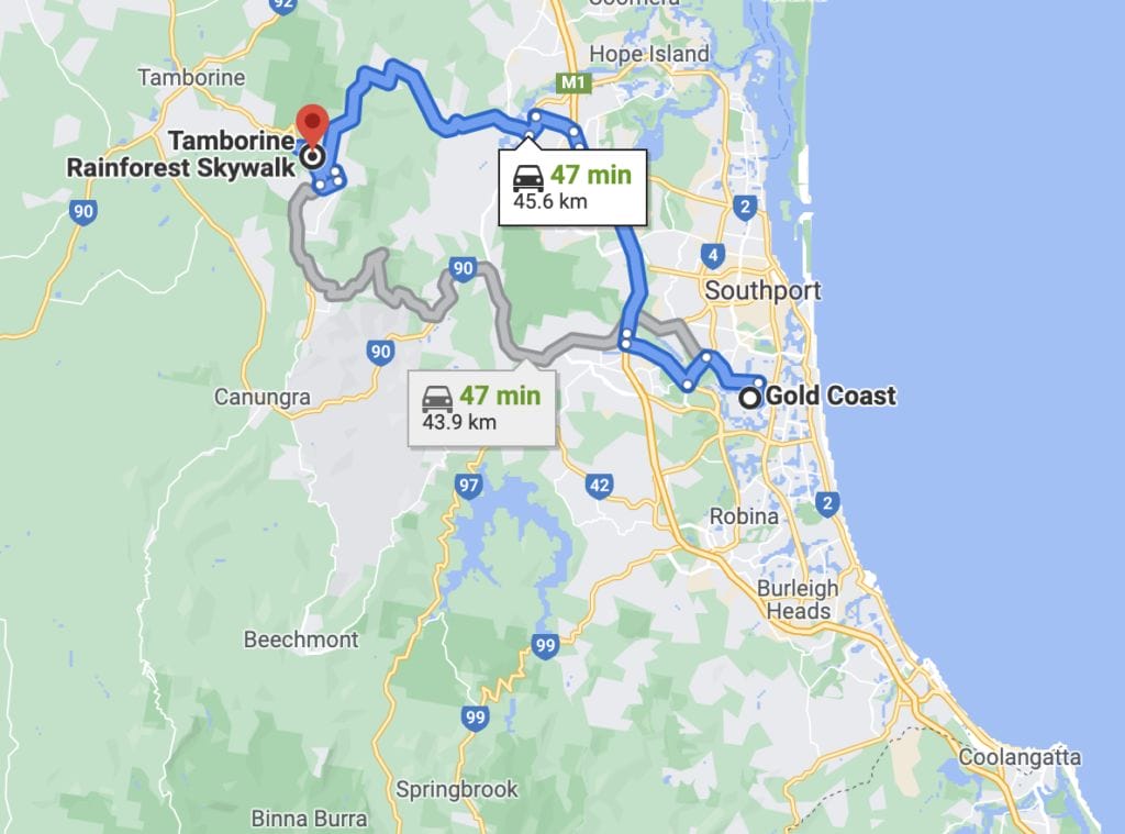 tamborine-rainforest-skywalk - Londoner In Sydney