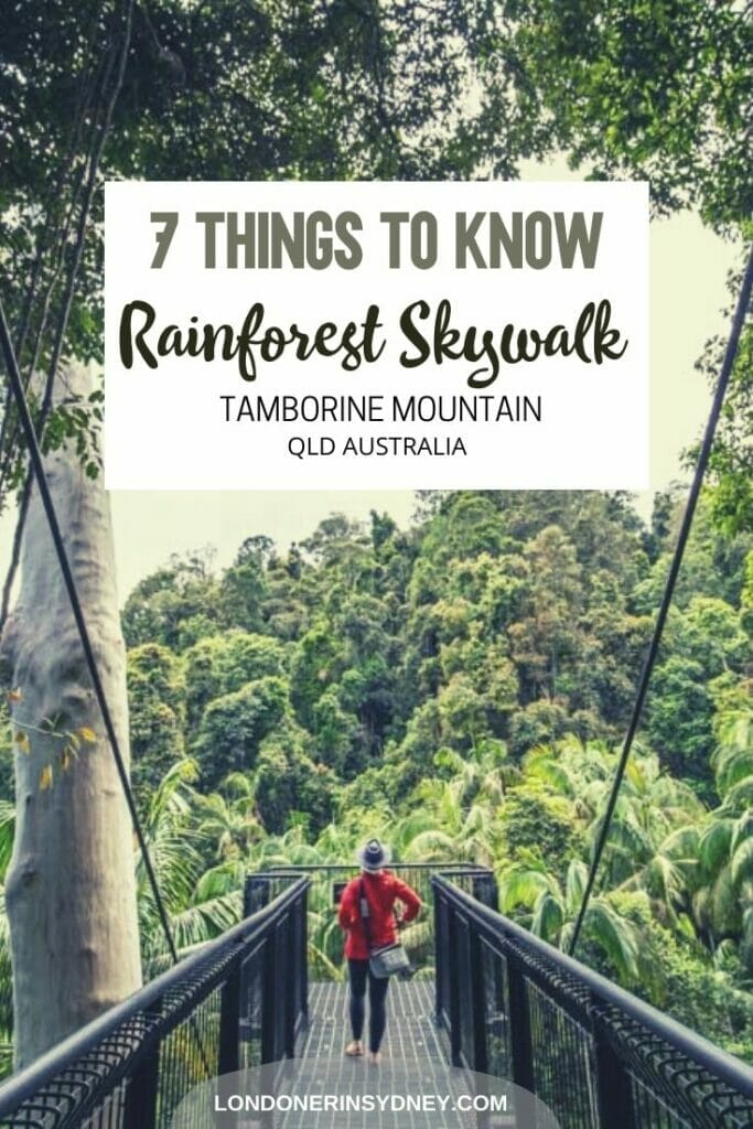 tamborine-rainforest-skywalk - Londoner In Sydney