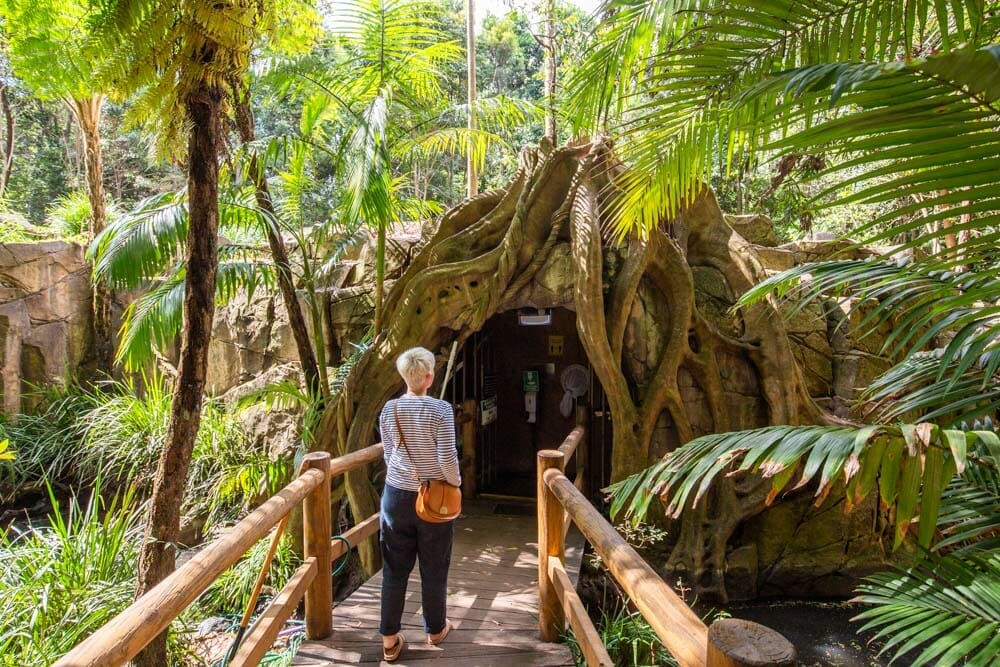 glow-worm-caves-tamborine - Londoner In Sydney glow-worm-caves-tamborine