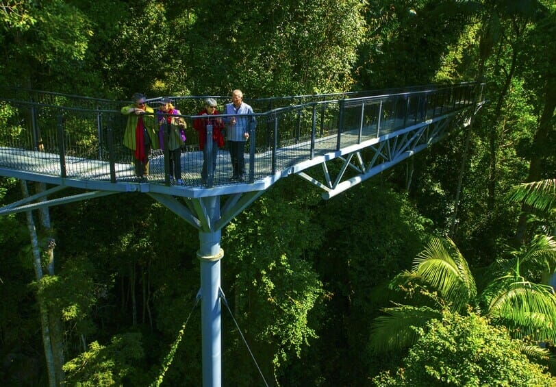 tamborine-rainforest-skywalk - Londoner In Sydney