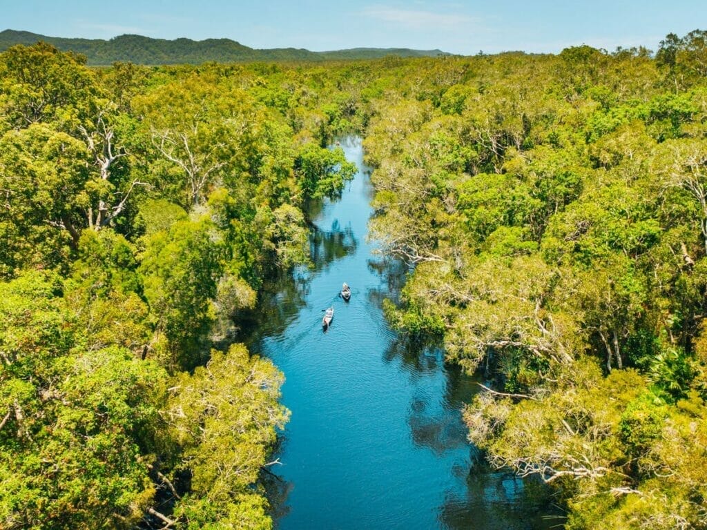 noosa-everglades-tour
