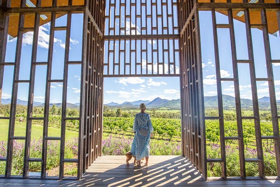kooroomba-lavendar-farm - Londoner In Sydney kooroomba-lavendar-farm