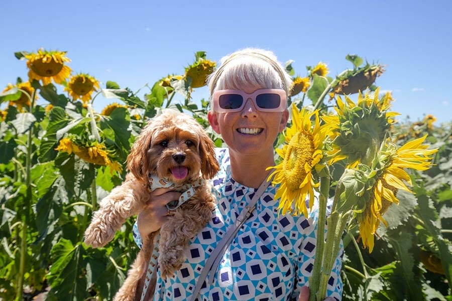 kalbar-sunflower-farm - Londoner In Sydney kalbar-sunflower-farm