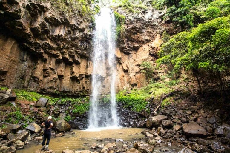browns-falls-main-range-national-park - Londoner In Sydney browns-falls-main-range-national-park