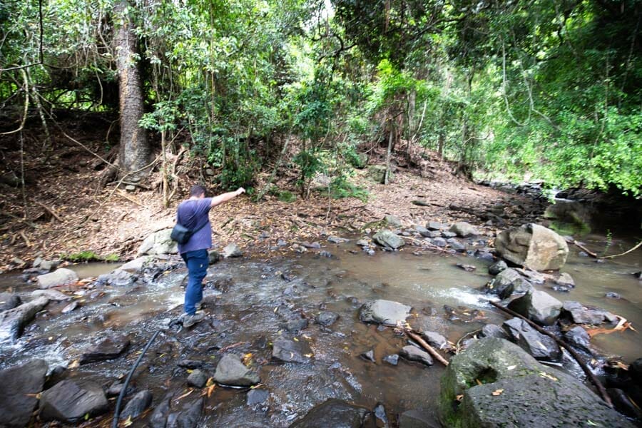 browns-falls-main-range-national-park - Londoner In Sydney