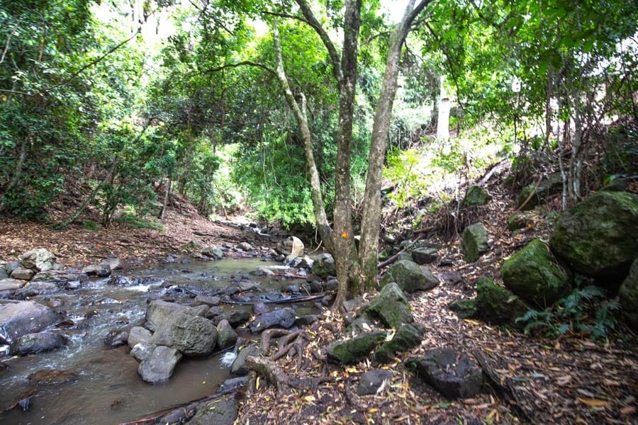 browns-falls-main-range-national-park - Londoner In Sydney