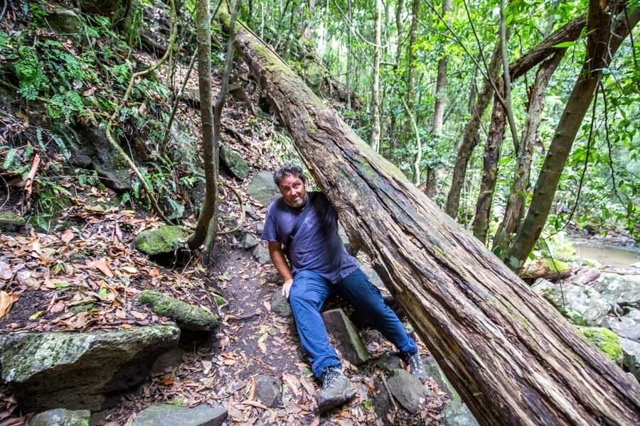 browns-falls - Londoner In Sydney browns-falls