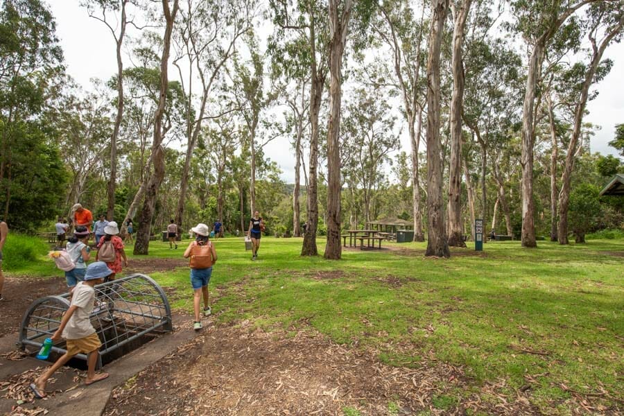 queen-mary-falls-picnic-area - Londoner In Sydney