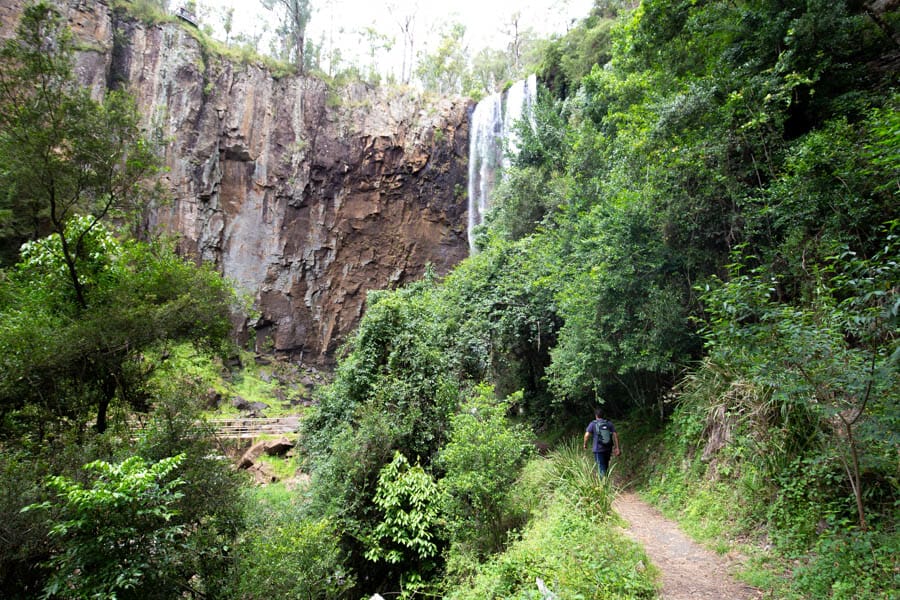 day trip to queen mary falls