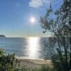 Terrigal-Beach-central-coast
