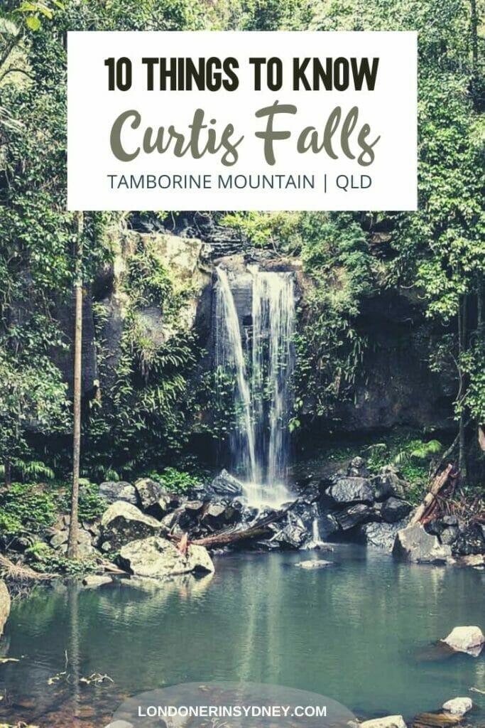 Curtis-falls-tamborine-mountain - Londoner In Sydney