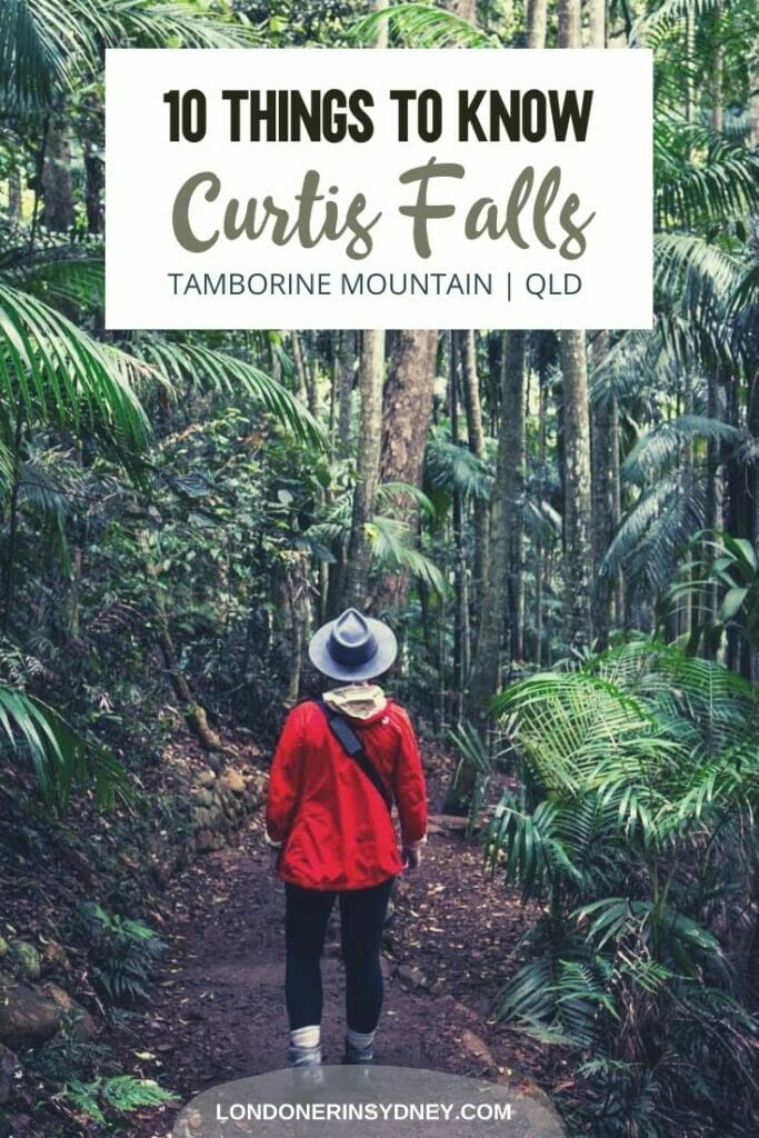 Curtis-falls-tamborine-mountain - Londoner In Sydney Curtis-falls-tamborine-mountain