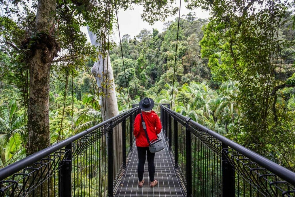 curtis-falls-tamborine-mountain - Londoner In Sydney